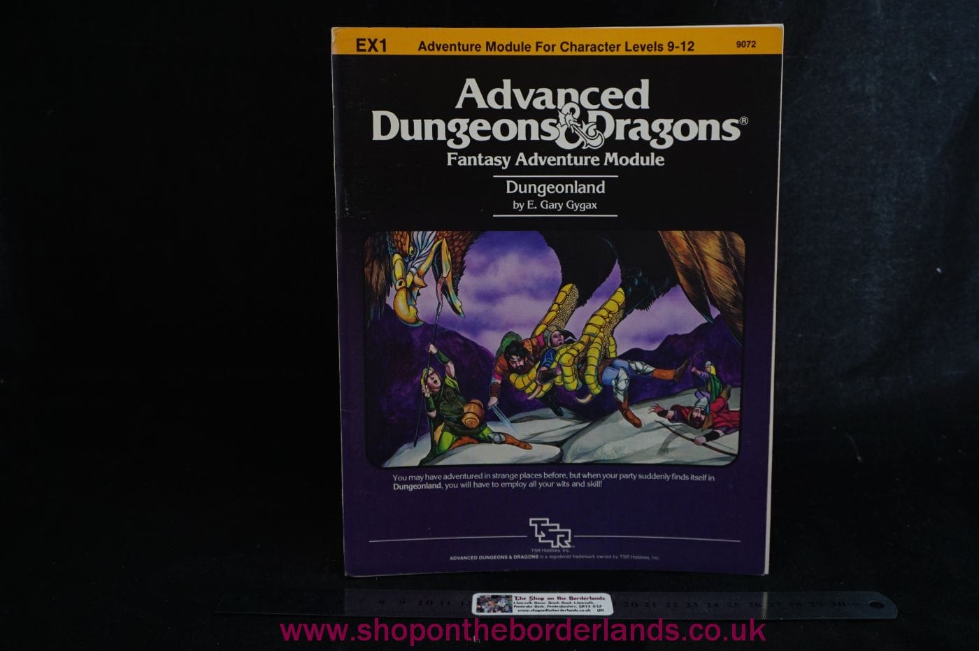 Dungeonland (EX1), softback adventure for AD&D 1st Edition - The Shop ...