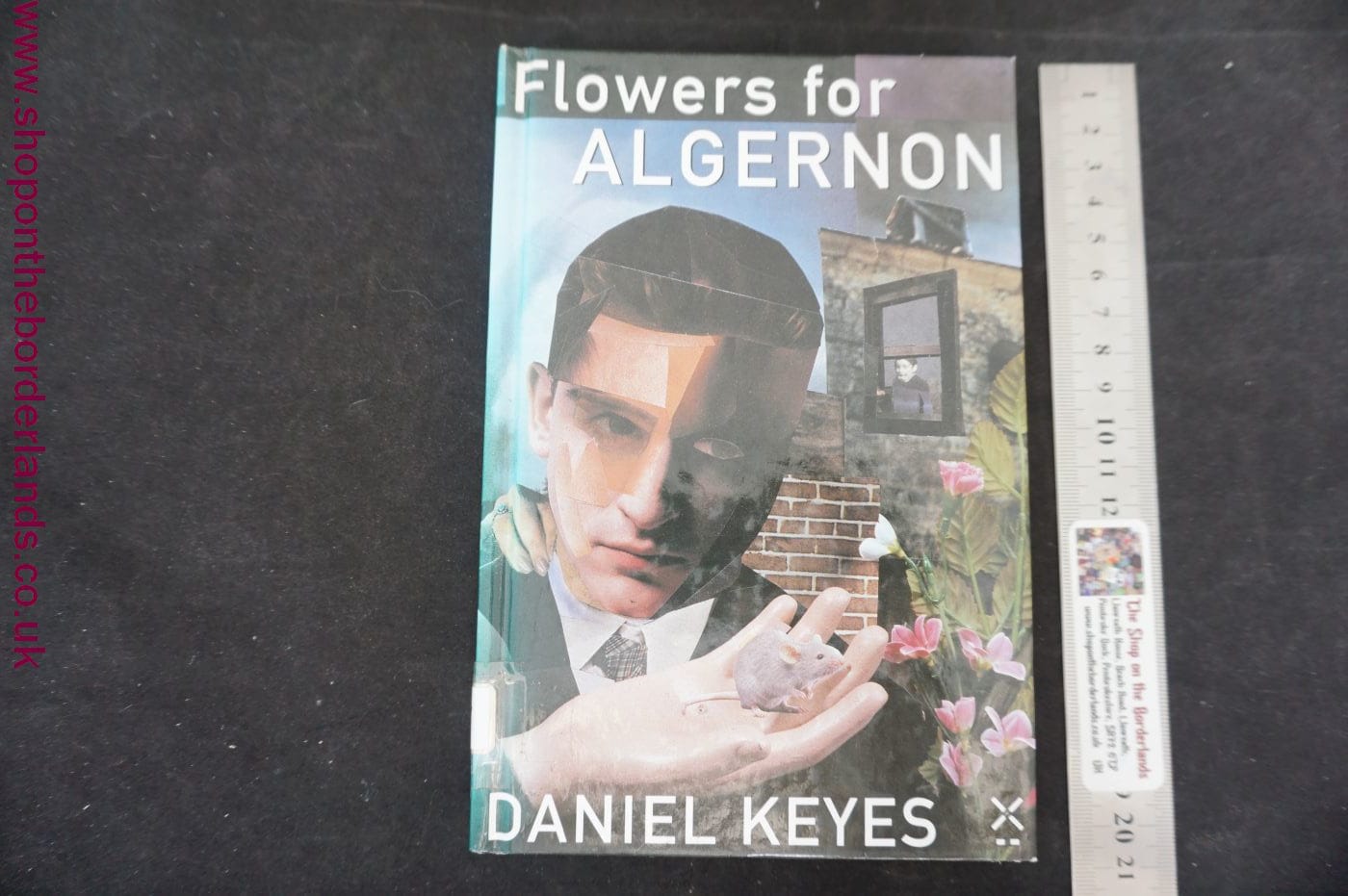 Flowers for Algernon    DANIEL KEYS